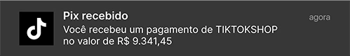 notificacao.webp
